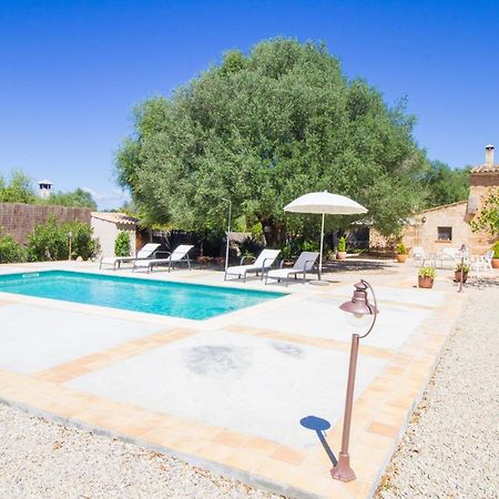 Preciosa Finca Rustica Con A/C Y Piscina Exclusiva 알가이다 외부 사진