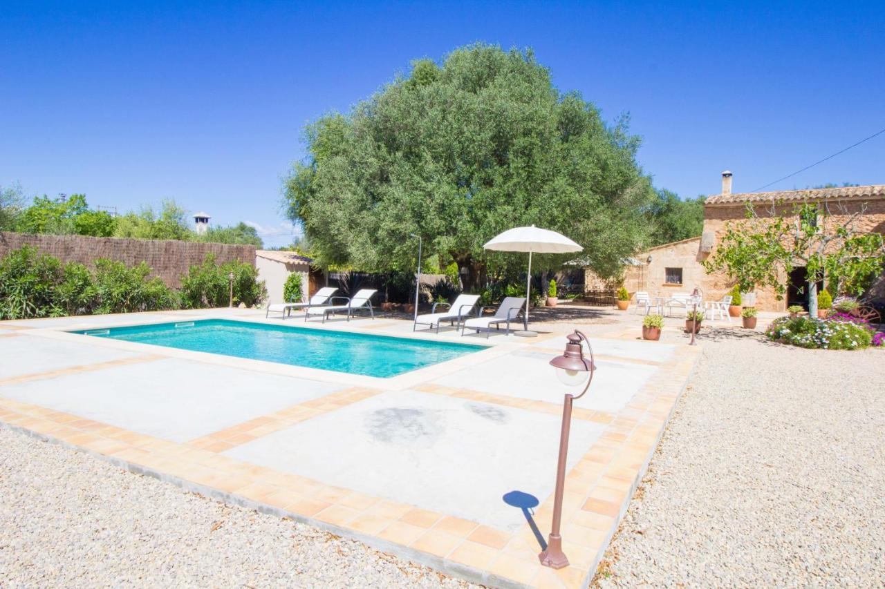 Preciosa Finca Rustica Con A/C Y Piscina Exclusiva 알가이다 외부 사진