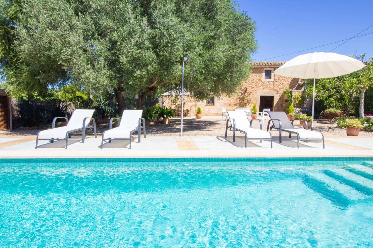 Preciosa Finca Rustica Con A/C Y Piscina Exclusiva 알가이다 외부 사진
