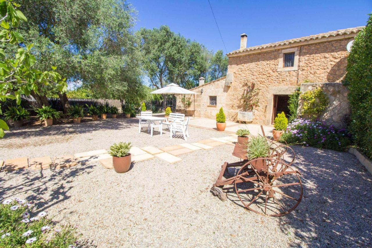 Preciosa Finca Rustica Con A/C Y Piscina Exclusiva 알가이다 외부 사진