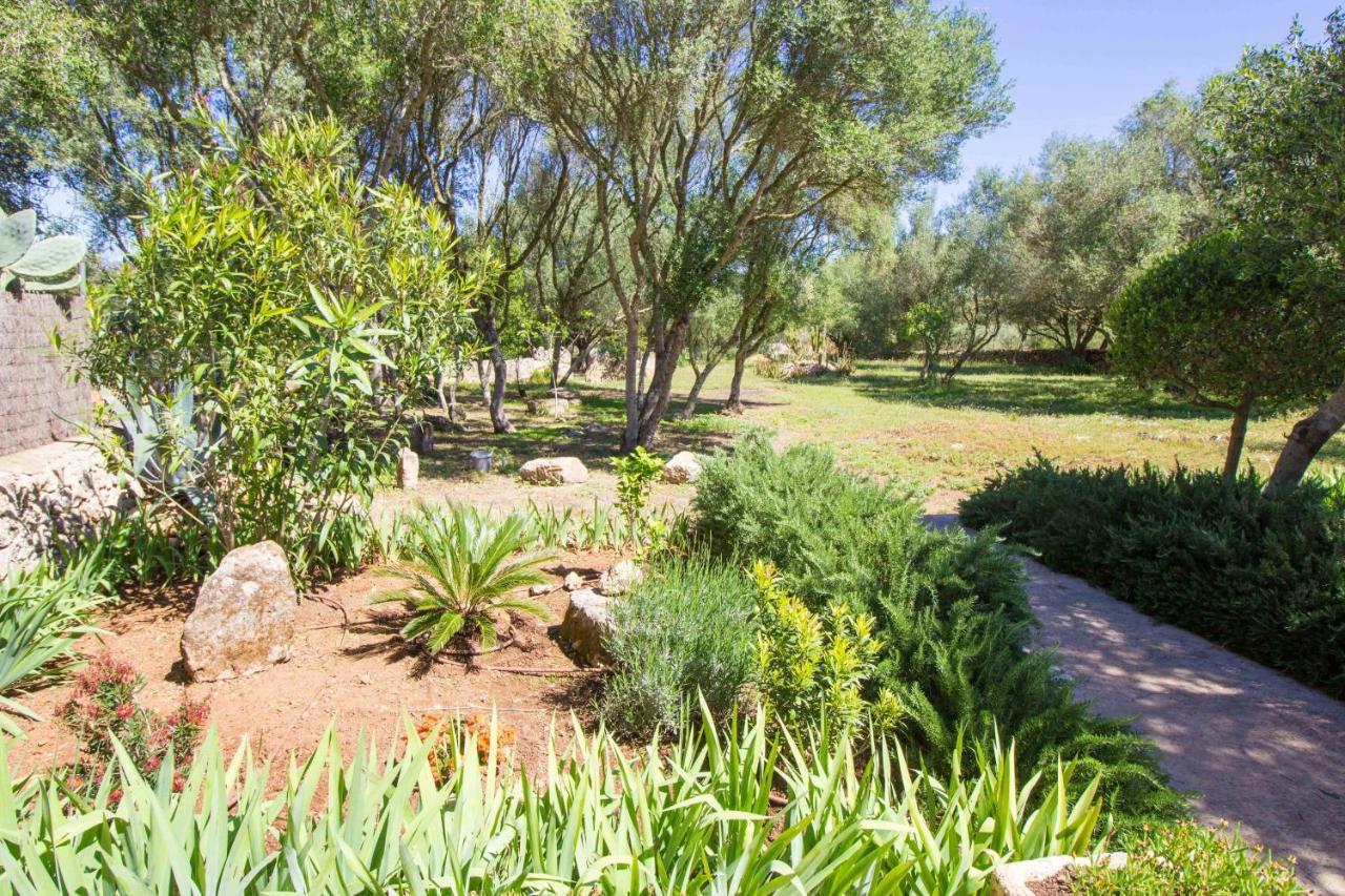 Preciosa Finca Rustica Con A/C Y Piscina Exclusiva 알가이다 외부 사진