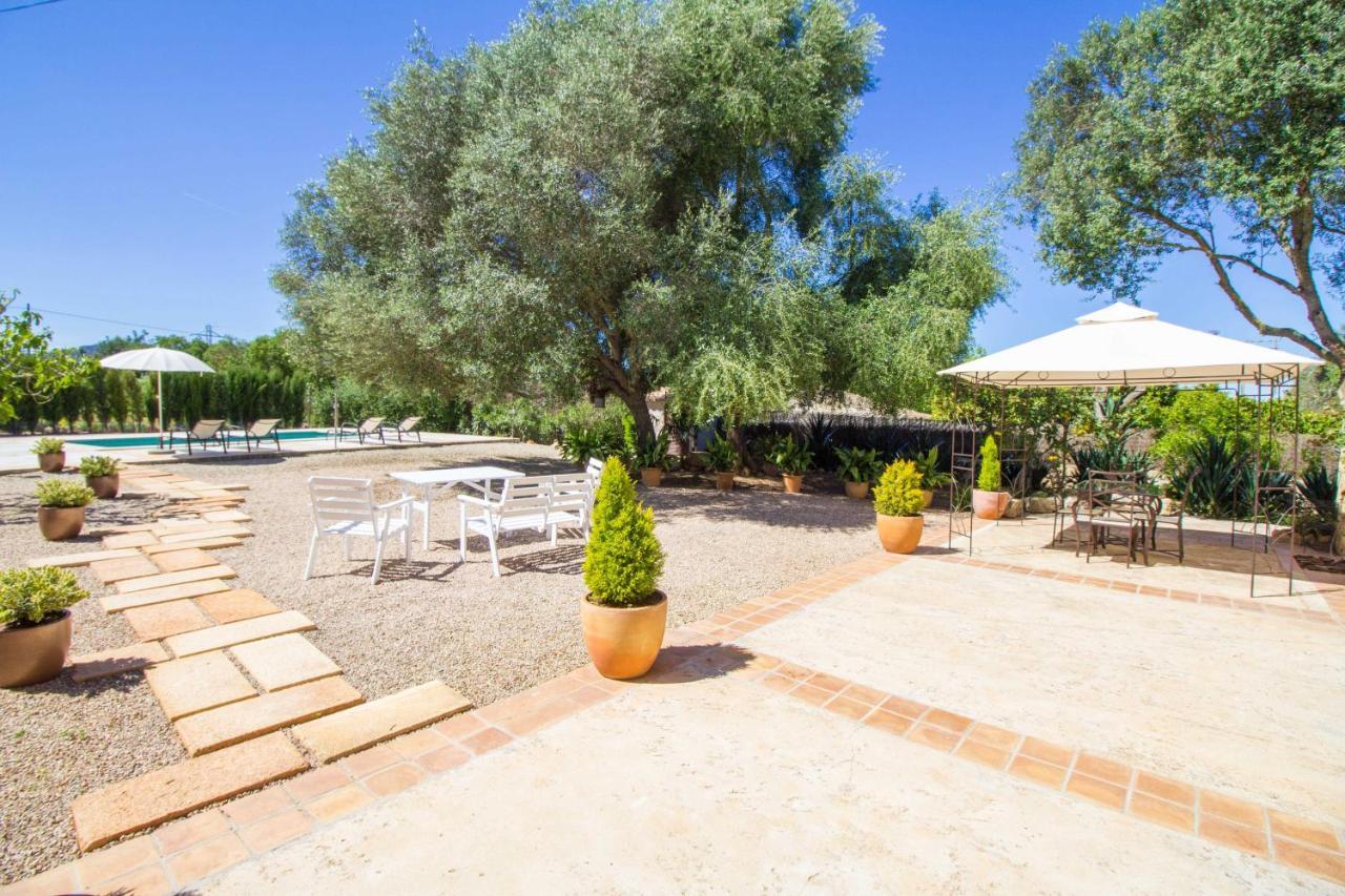 Preciosa Finca Rustica Con A/C Y Piscina Exclusiva 알가이다 외부 사진