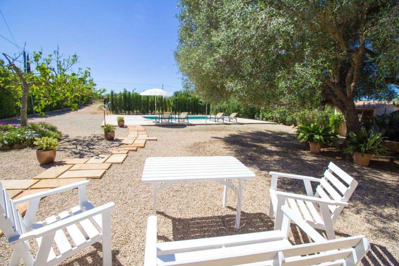Preciosa Finca Rustica Con A/C Y Piscina Exclusiva 알가이다 외부 사진