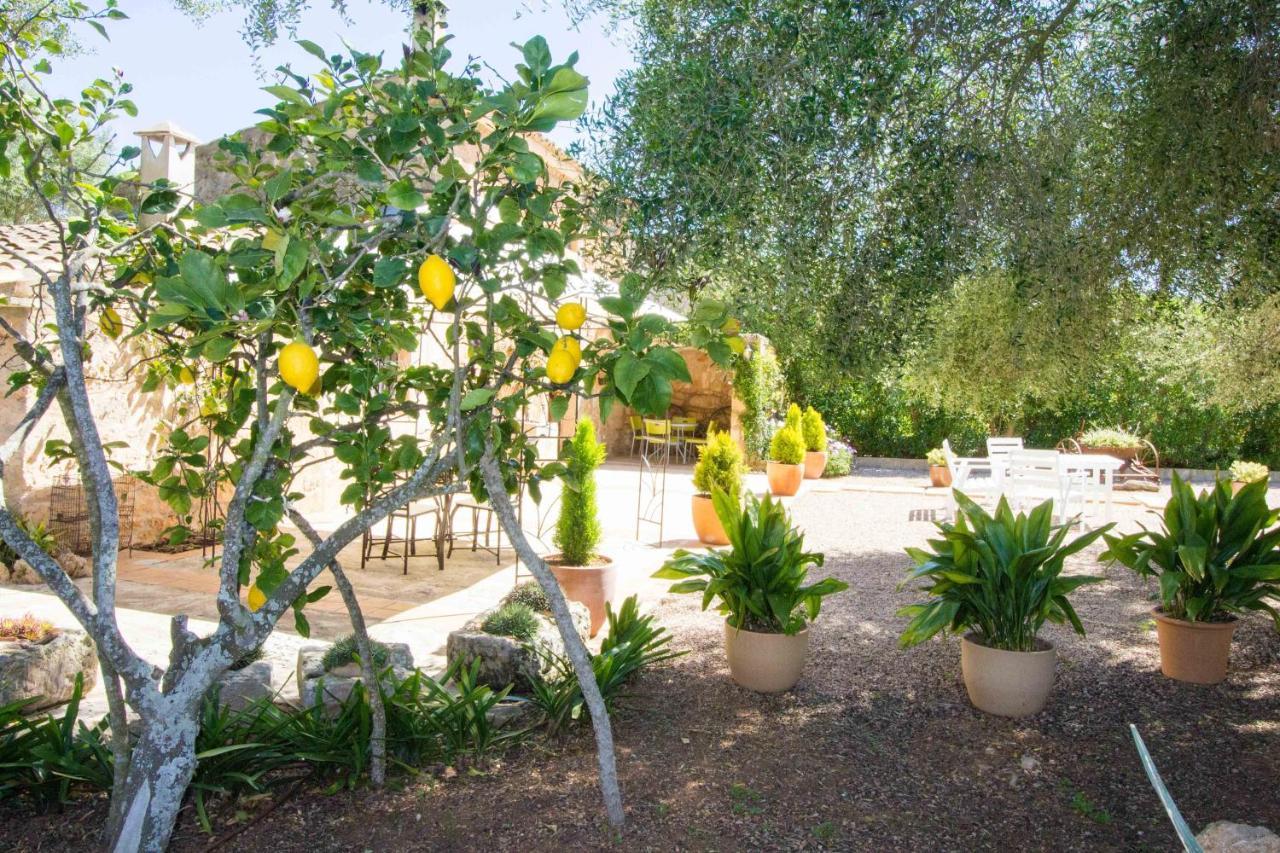 Preciosa Finca Rustica Con A/C Y Piscina Exclusiva 알가이다 외부 사진