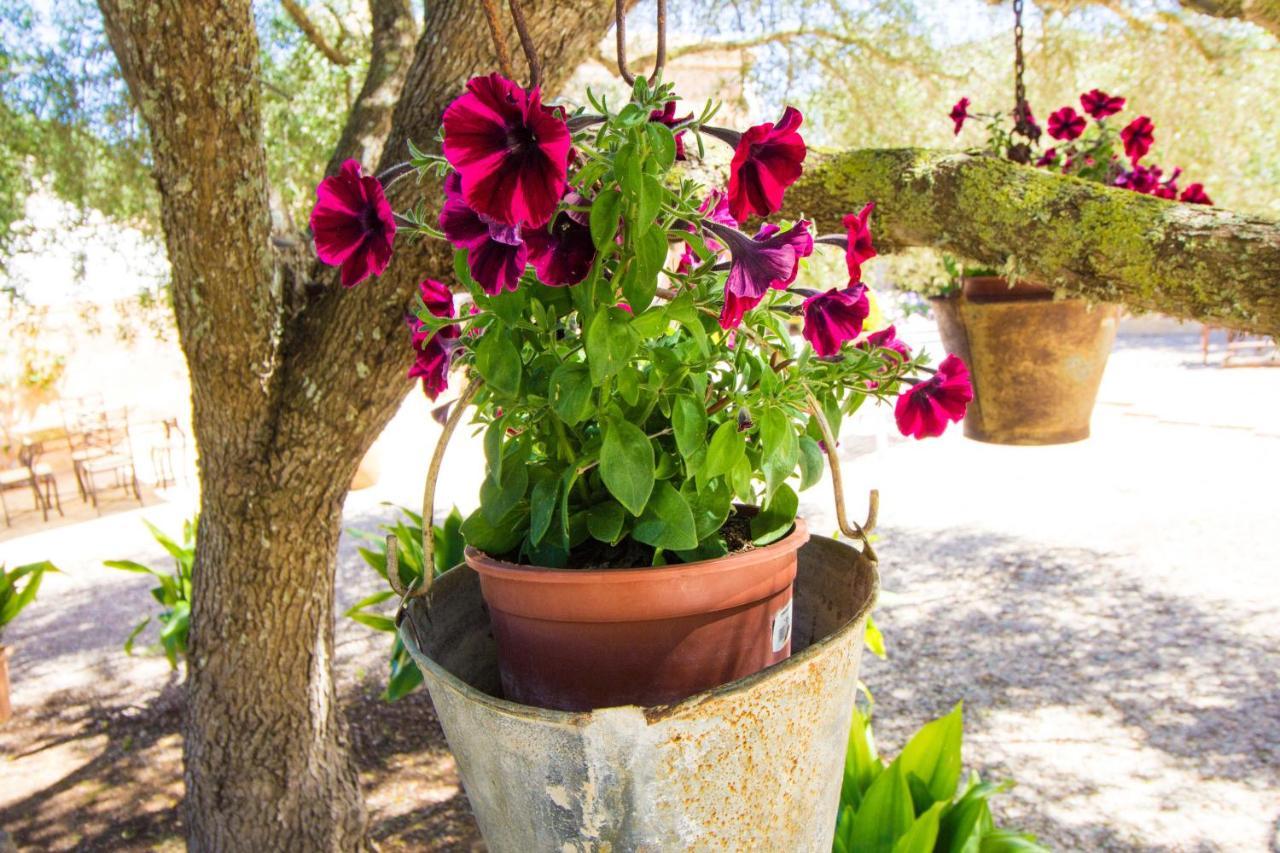 Preciosa Finca Rustica Con A/C Y Piscina Exclusiva 알가이다 외부 사진